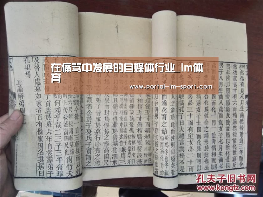 在痛骂中发展的自媒体行业_im体育(图5) im体育公司