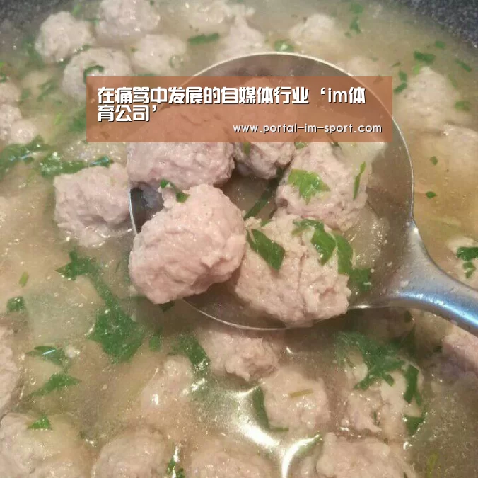 im体育公司