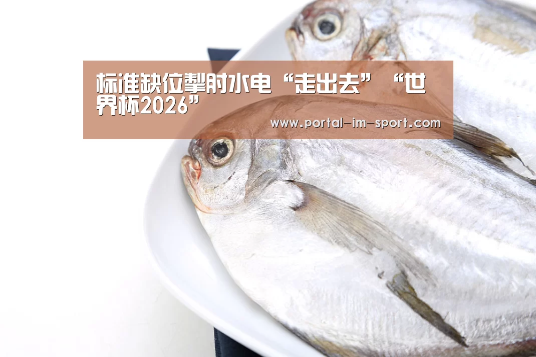 标准缺位掣肘水电“走出去”“世界杯2026”(图2) im体育下载