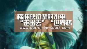 标准缺位掣肘水电“走出去”“世界杯2026”(图4) im体育