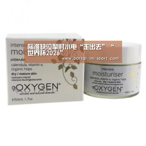 标准缺位掣肘水电“走出去”“世界杯2026”(图3) im体育