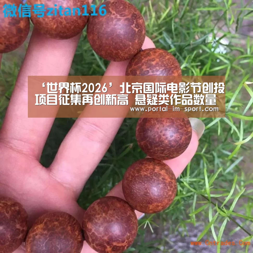 ‘世界杯2026’北京国际电影节创投项目征集再创新高 悬疑类作品数量居首(图4) im体育