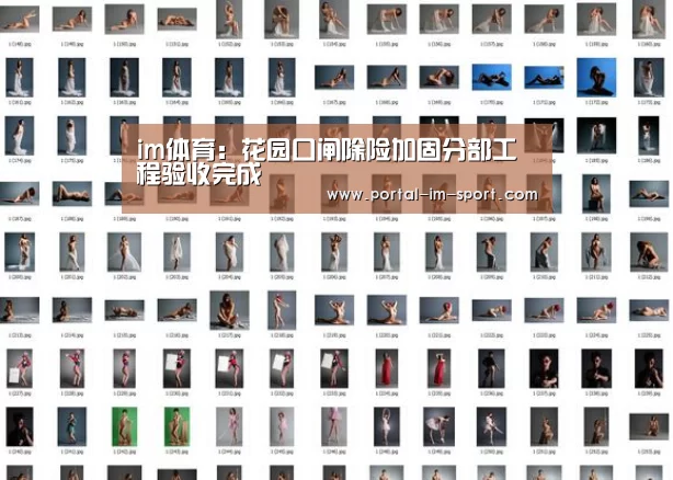 im体育:花园口闸除险加固分部工程验收完成(图1) im体育下载