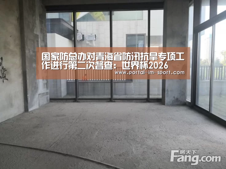 国家防总办对青海省防汛抗旱专项工作进行第二次督查:世界杯2026(图1) im体育下载