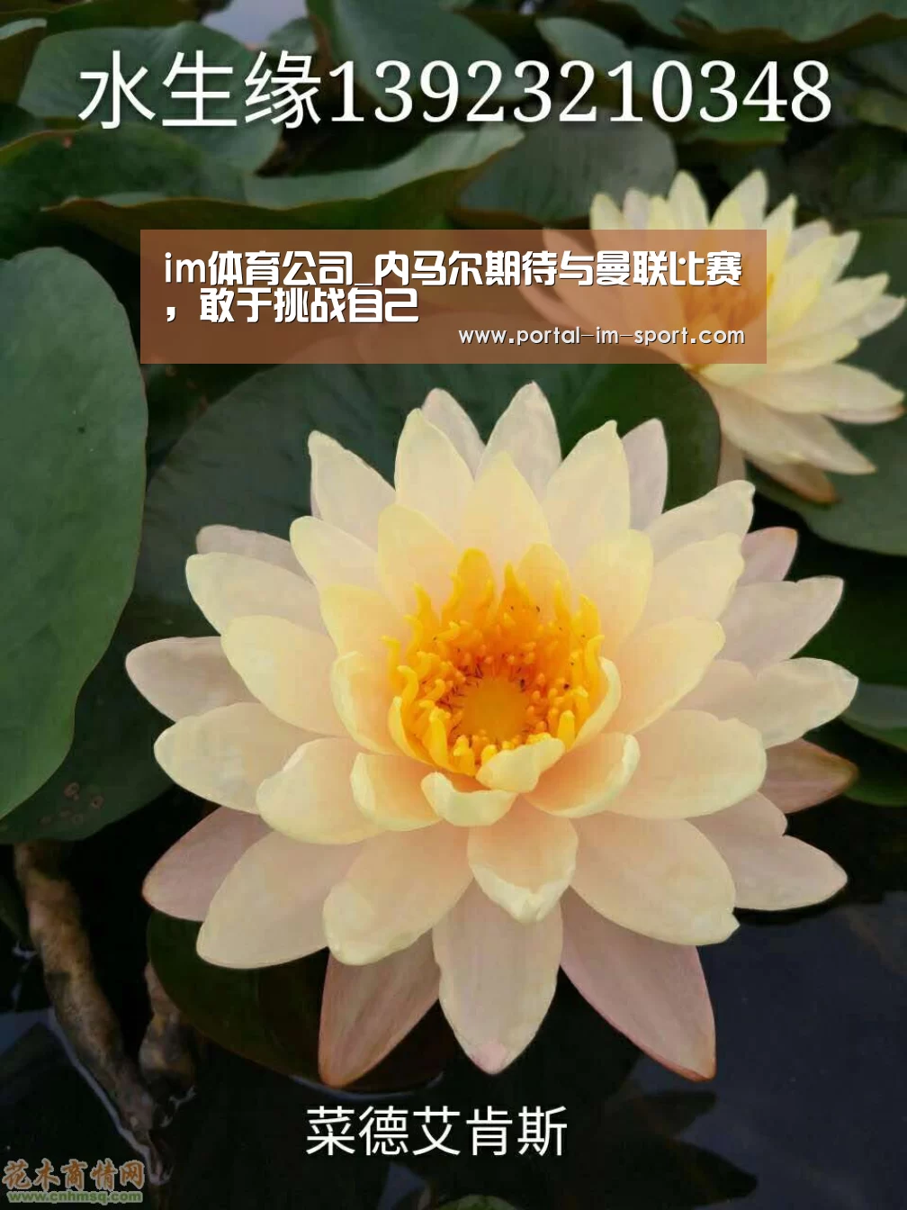 im体育公司_内马尔期待与曼联比赛,敢于挑战自己(图2) im体育下载