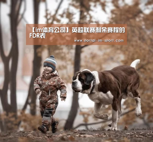 【im体育公司】英超联赛剩余赛程的FDR表(图2) im体育公司