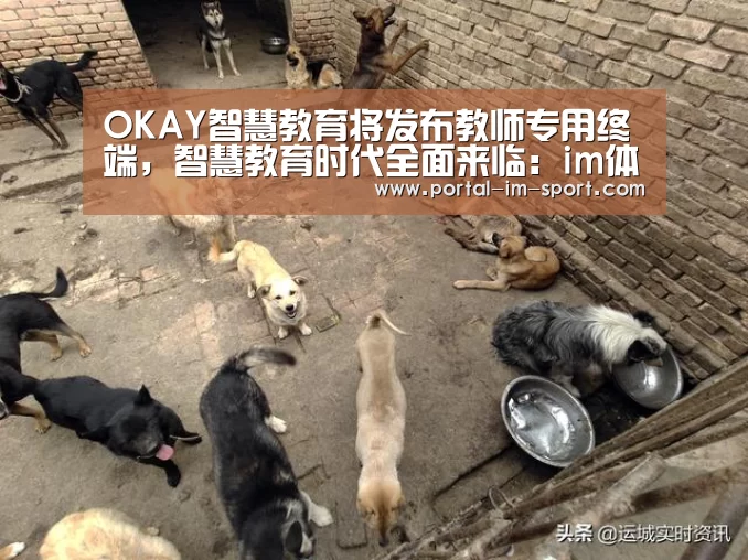 OKAY智慧教育将发布教师专用终端,智慧教育时代全面来临:im体育(图2) im体育公司