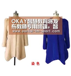 OKAY智慧教育将发布教师专用终端,智慧教育时代全面来临:im体育(图1) im体育下载