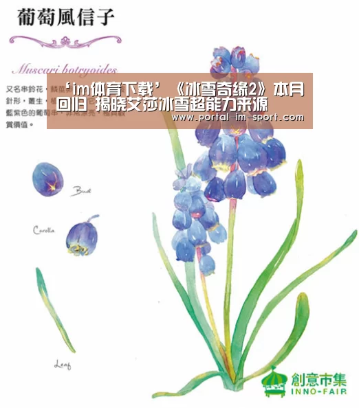 ‘im体育下载’《冰雪奇缘2》本月回归 揭晓艾莎冰雪超能力来源(图4) 世界杯2026