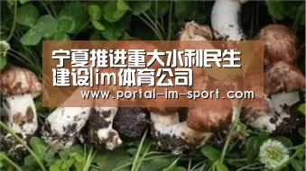宁夏推进重大水利民生建设|im体育公司(图1) 世界杯2026